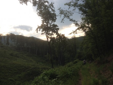 Mátra 115 4.-5.6.2016 - lesní cesty3