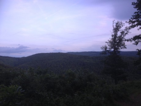 Mátra 115 4.-5.6.2016 - lesní cesty5