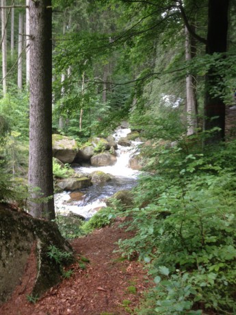 3. Jizerský ultratrail 16.7.2016 - Černá Desná2