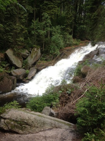 3. Jizerský ultratrail 16.7.2016 - Černá Desná3
