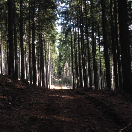 23. Pražská stovka 9.-10.12.2016 - vojenský úsek s možným výskytem výbušnin