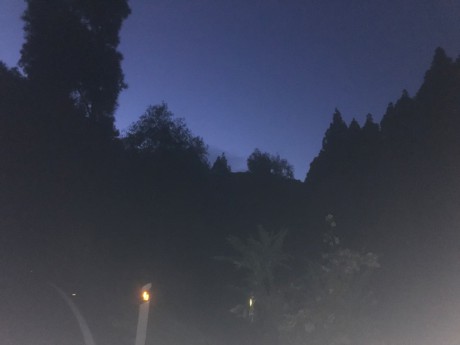 TGC 23.-25.2.2018 - Kanárské lesy